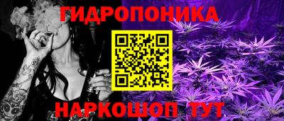 гидра Гусиноозёрск