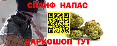 гидра Гусиноозёрск