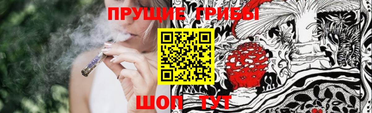 Галлюциногенные грибы GOLDEN TEACHER  купить наркотики цена  Нижнекамск  Вход с VPN  Псилоцибиновые грибы мицелий 
